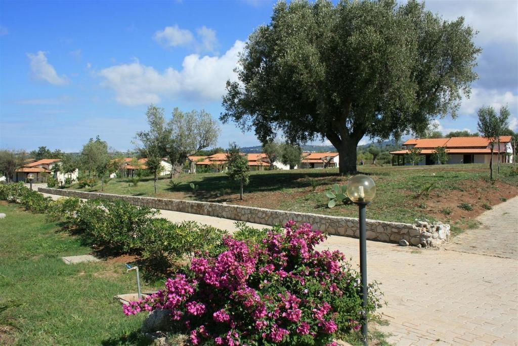 Agriturismo Ninea Ricadi Exterior photo